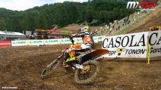 0000 Cairoli