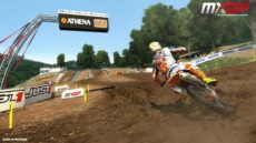 0008 Cairoli