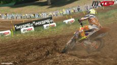 0011 Cairoli