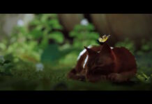 Stray (Nintendo Switch) Review: Auch auf der Switch ein miautastisches Abenteuer 2024112214122900 s