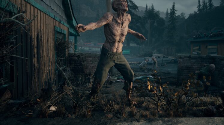 Days Gone: Remastered 20250605231813