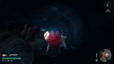DaysGone 28