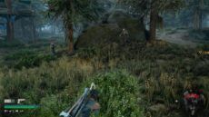 DaysGone 31
