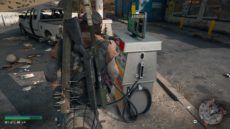 DaysGone 38