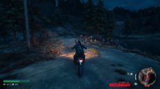 DaysGone 39