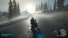 DaysGone 50