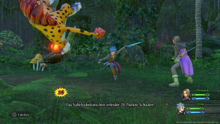 DragonQuestXI 10