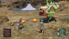 DragonQuestXI 14