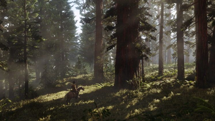 Red Dead Redemption 2 Wald