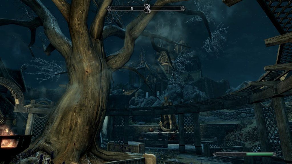 SkyrimSpecialEdition 23
