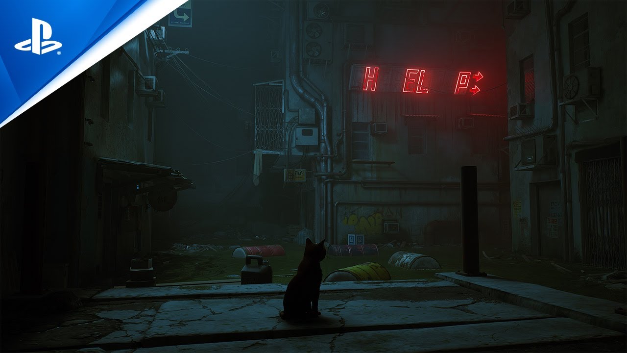 Stray