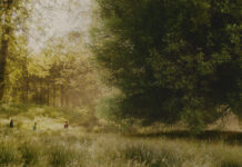 Morgen ist Earth Day: DER WUNDERWELTENBAUM feiert die Magie der Natur – Ab 30. April 2026 im Kino! TMFT SG 00174