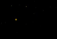 The Vale: Shadow of the Crown Shortreview: Vertraut euren Ohren The Vale 20250409102228